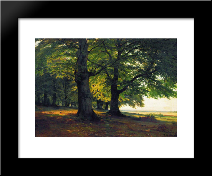 The Teutoburg Forest 20x24 Black Modern Wood Framed Art Print Poster by Shishkin, Ivan