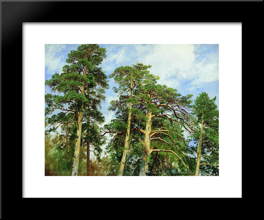 The Tops Of The Pines 20x24 Black Modern Wood Framed Art Print Poster by Shishkin, Ivan