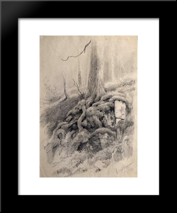 Tree Roots 20x24 Black Modern Wood Framed Art Print Poster by Shishkin, Ivan