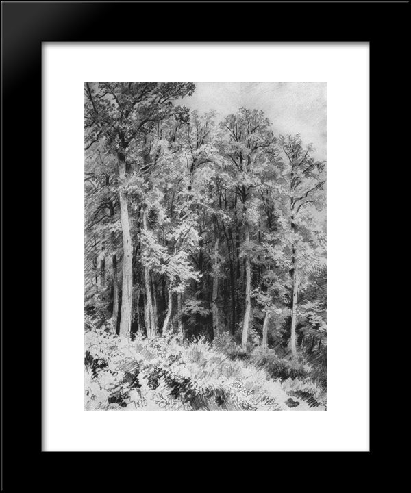 Trees. Kozlovka-Zaseka 20x24 Black Modern Wood Framed Art Print Poster by Shishkin, Ivan