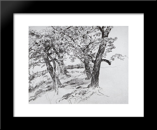 Trees 20x24 Black Modern Wood Framed Art Print Poster by Shishkin, Ivan