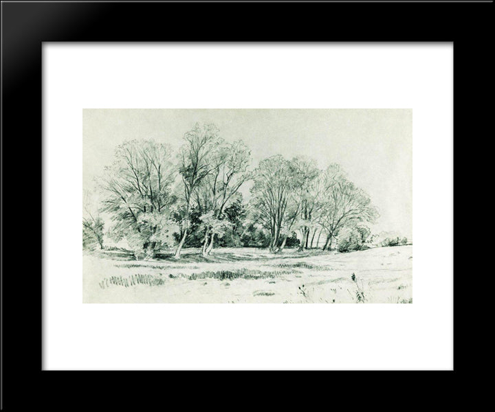 Trees In The Field. Bratsevo 20x24 Black Modern Wood Framed Art Print Poster by Shishkin, Ivan