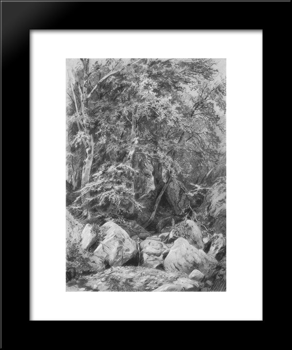 Trees Near A Stream On Mount Castel 20x24 Black Modern Wood Framed Art Print Poster by Shishkin, Ivan