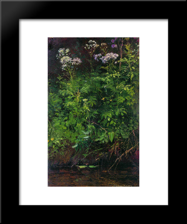 Wildflowers Near The Water 20x24 Black Modern Wood Framed Art Print Poster by Shishkin, Ivan