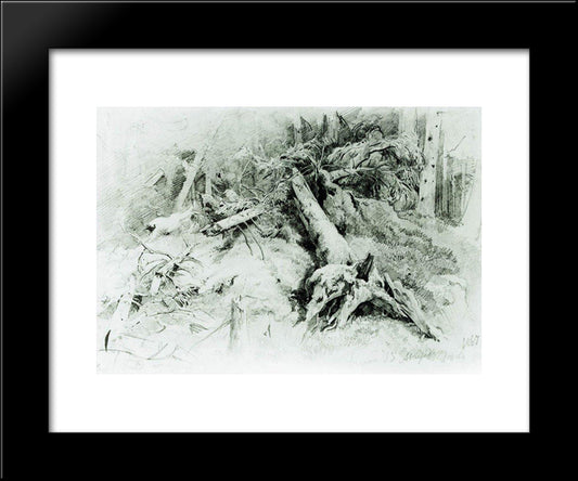 Wind Fallen Trees 20x24 Black Modern Wood Framed Art Print Poster by Shishkin, Ivan