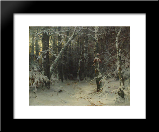 Winter Forest 20x24 Black Modern Wood Framed Art Print Poster by Shishkin, Ivan