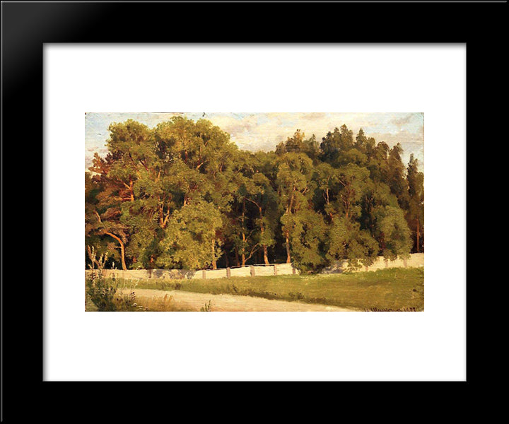 Woods Behind The Fence 20x24 Black Modern Wood Framed Art Print Poster by Shishkin, Ivan