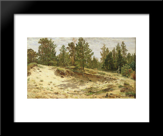 Young Pines On The Sandy Cliff. Mary-Howie On Finnish Railways 20x24 Black Modern Wood Framed Art Print Poster by Shishkin, Ivan