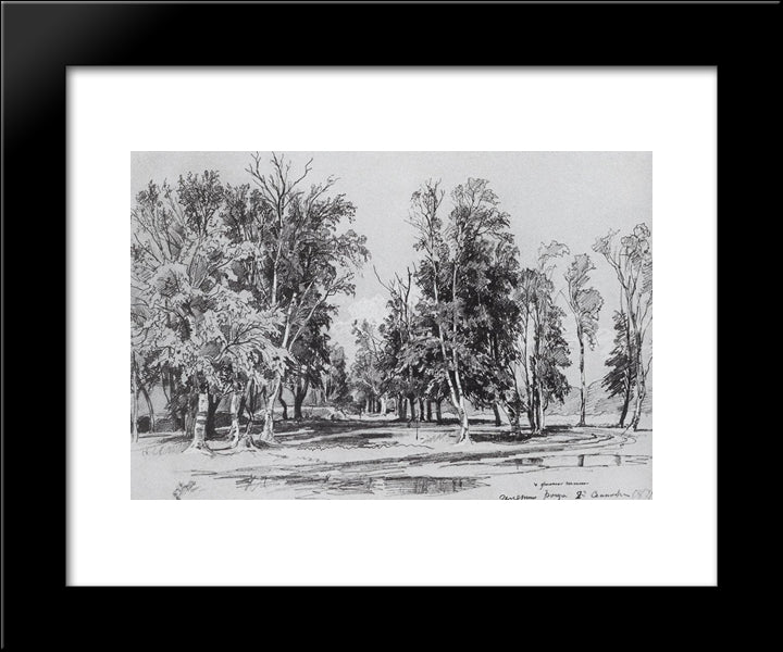 Zelenina Grove 20x24 Black Modern Wood Framed Art Print Poster by Shishkin, Ivan