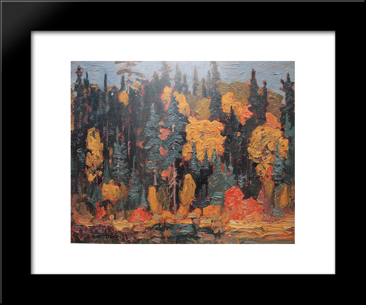 Algoma 20x24 Black Modern Wood Framed Art Print Poster by MacDonald, J. E. H.