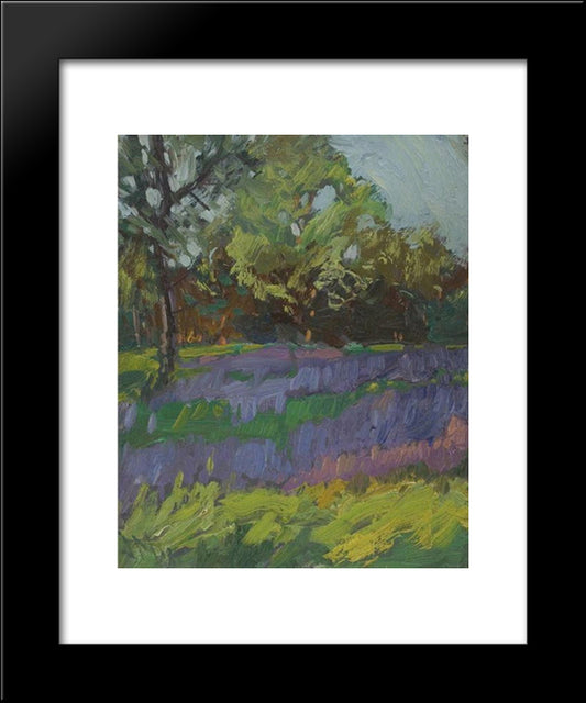 Lupines, High Park 20x24 Black Modern Wood Framed Art Print Poster by MacDonald, J. E. H.