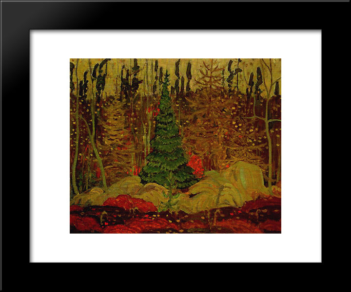Young Canada 20x24 Black Modern Wood Framed Art Print Poster by MacDonald, J. E. H.