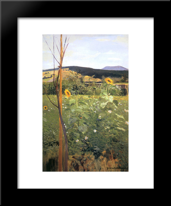 Sunflowers 20x24 Black Modern Wood Framed Art Print Poster by Malczewski, Jacek