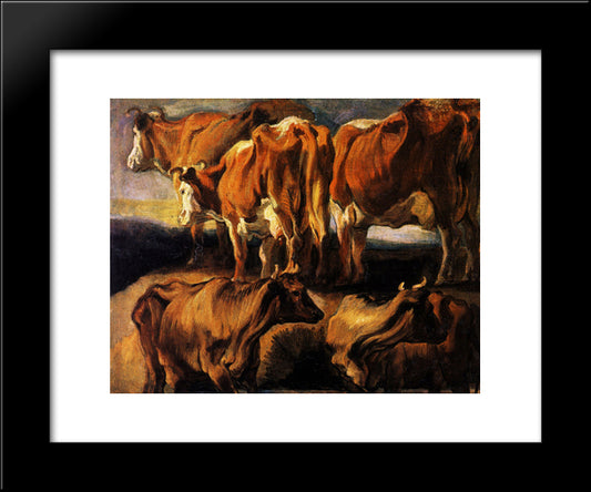 Five Studies Of Cows 20x24 Black Modern Wood Framed Art Print Poster by Jordaens, Jacob