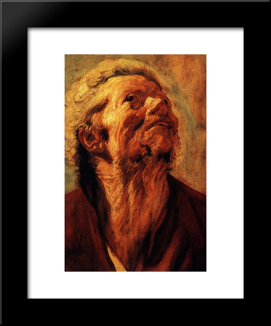 Study Of The Head Of Abraham Grapheus 20x24 Black Modern Wood Framed Art Print Poster by Jordaens, Jacob