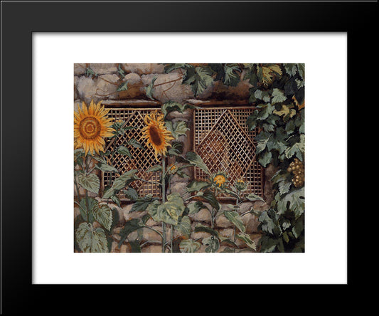 Behold He Standeth Behind Our Wall 20x24 Black Modern Wood Framed Art Print Poster by Tissot, James