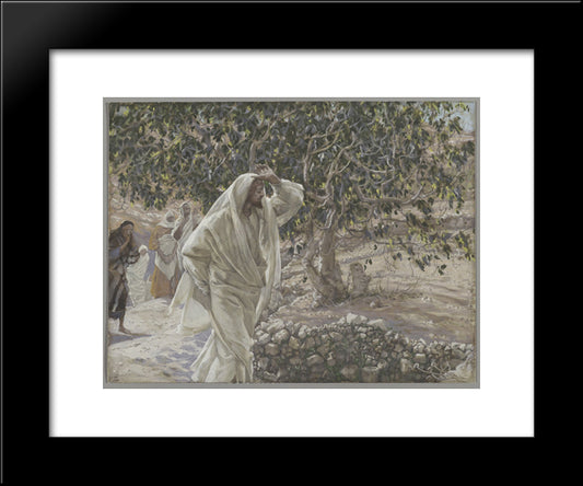 The Accursed Fig Tree 20x24 Black Modern Wood Framed Art Print Poster by Tissot, James