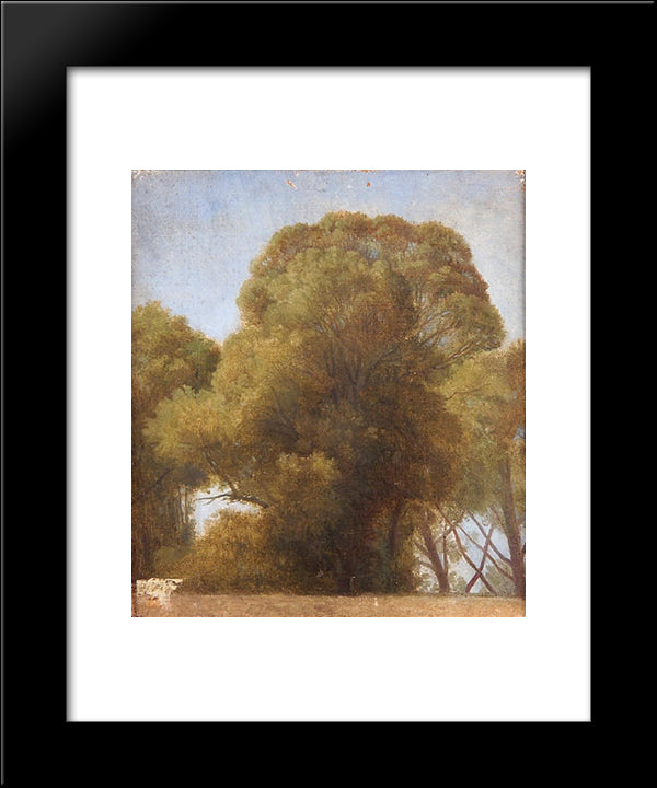 Study Of Trees 20x24 Black Modern Wood Framed Art Print Poster by Ingres, Jean Auguste Dominique