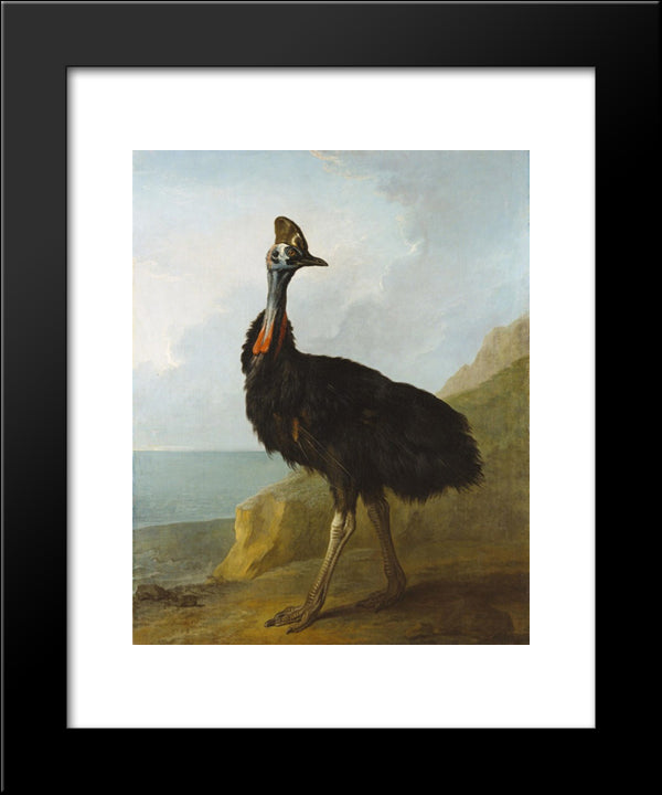 Cassowary 20x24 Black Modern Wood Framed Art Print Poster by Oudry, Jean Baptiste