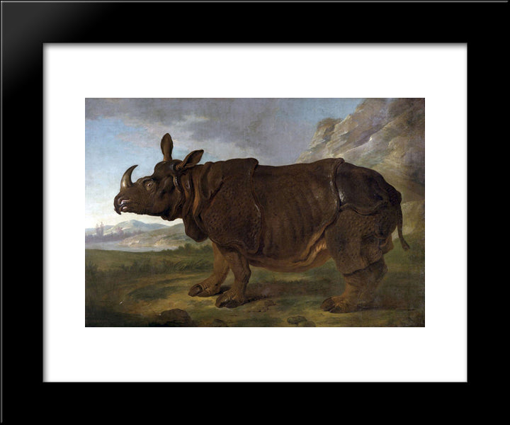 Clara The Rhinoceros 20x24 Black Modern Wood Framed Art Print Poster by Oudry, Jean Baptiste