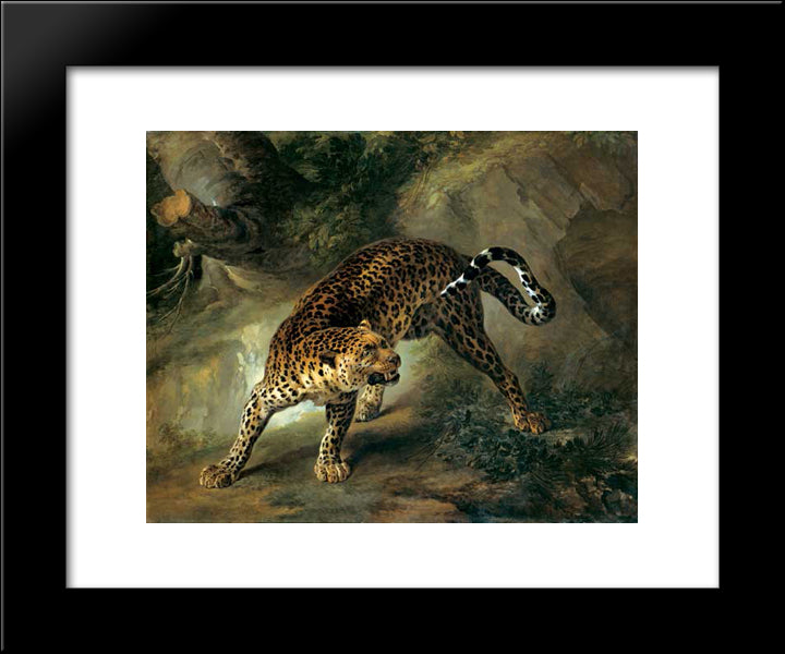 Leopard 20x24 Black Modern Wood Framed Art Print Poster by Oudry, Jean Baptiste
