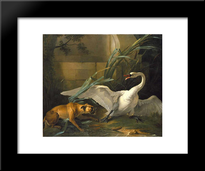 Swan Attacked By A Dog 20x24 Black Modern Wood Framed Art Print Poster by Oudry, Jean Baptiste