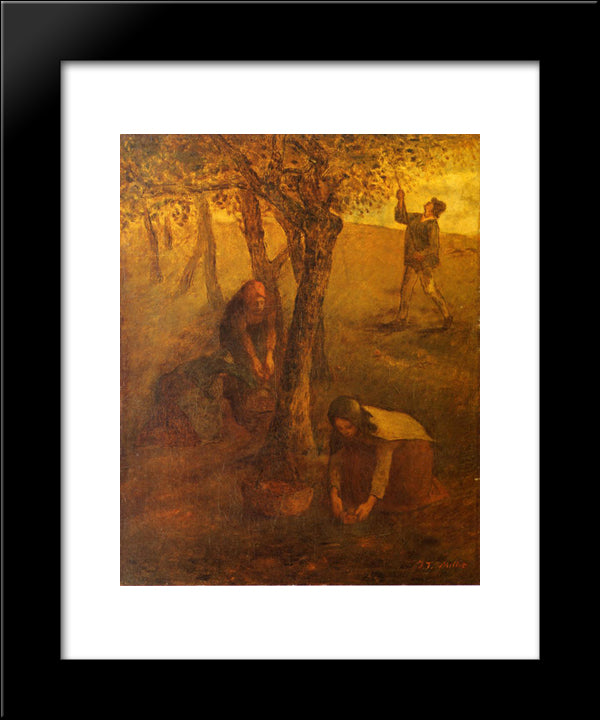 Gathering Apples 20x24 Black Modern Wood Framed Art Print Poster by Millet, Jean Francois