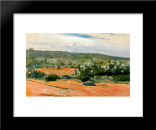 Chumberas Study 20x24 Black Modern Wood Framed Art Print Poster by Sorolla, Joaquin