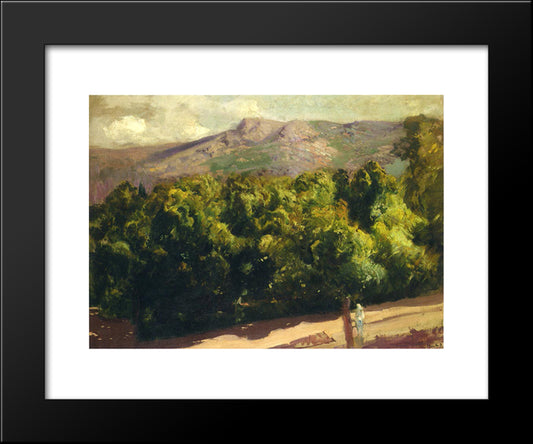 Gardens At San Ildefonso 20x24 Black Modern Wood Framed Art Print Poster by Sorolla, Joaquin