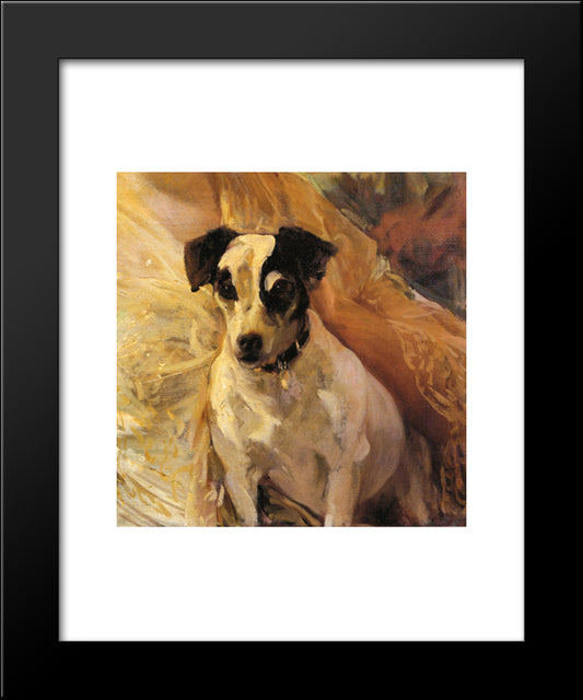 Portrait Of A Jack Russell 20x24 Black Modern Wood Framed Art Print Poster by Sorolla, Joaquin