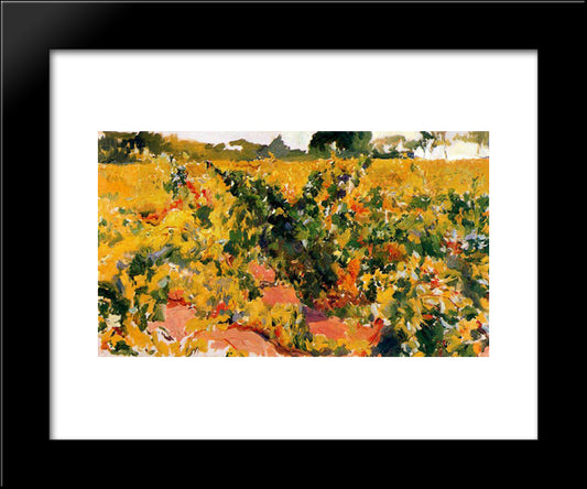 Study Of Vineyard 20x24 Black Modern Wood Framed Art Print Poster by Sorolla, Joaquin