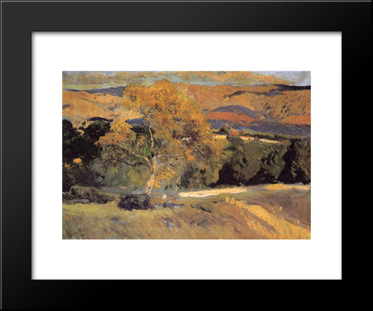 The Yellow Tree, La Granja 20x24 Black Modern Wood Framed Art Print Poster by Sorolla, Joaquin