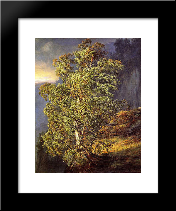 Bjerk I Storm 20x24 Black Modern Wood Framed Art Print Poster by Dahl, Johan Christian