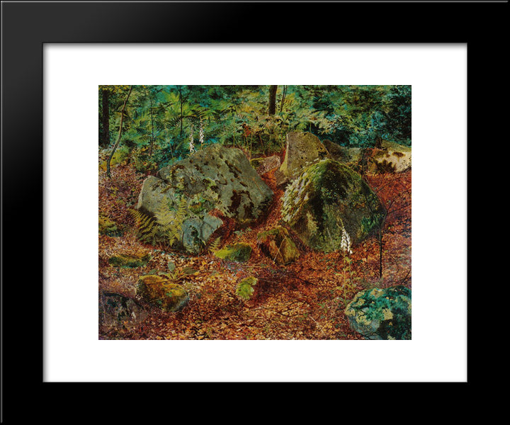 A Mossy Glen 20x24 Black Modern Wood Framed Art Print Poster by Grimshaw, John Atkinson