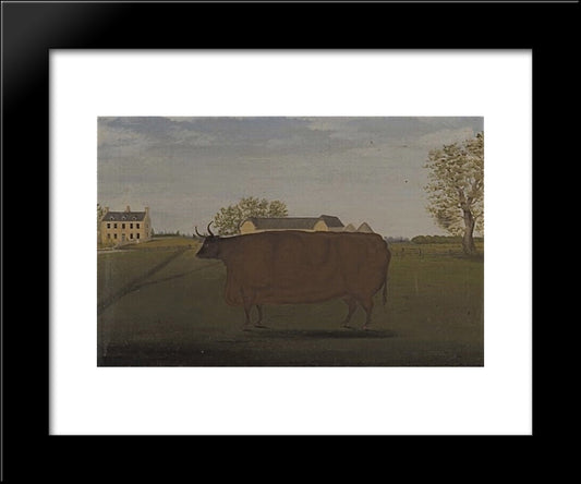 Painting Of A Prize Cow In A Field 20x24 Black Modern Wood Framed Art Print Poster by Bradley, John