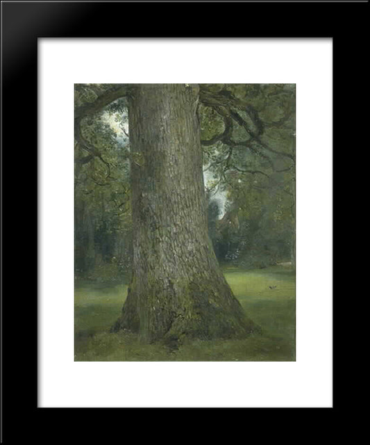 Study Of The Trunk Of An Elm Tree 20x24 Black Modern Wood Framed Art Print Poster by Constable, John