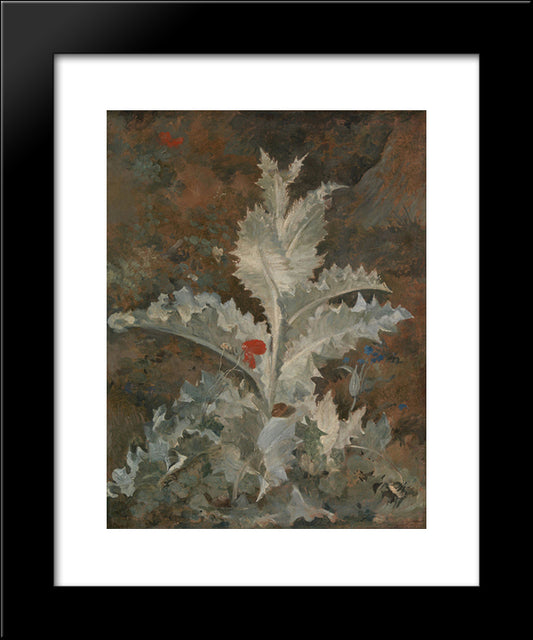 A Thistle 20x24 Black Modern Wood Framed Art Print Poster by Crome, John