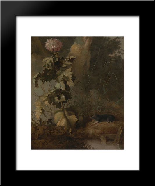 An Egyptian Poppy And A Water Mole 20x24 Black Modern Wood Framed Art Print Poster by Crome, John