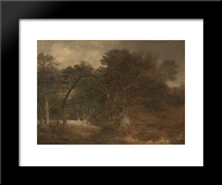 Woodland Landscape Near Norwich 20x24 Black Modern Wood Framed Art Print Poster by Crome, John