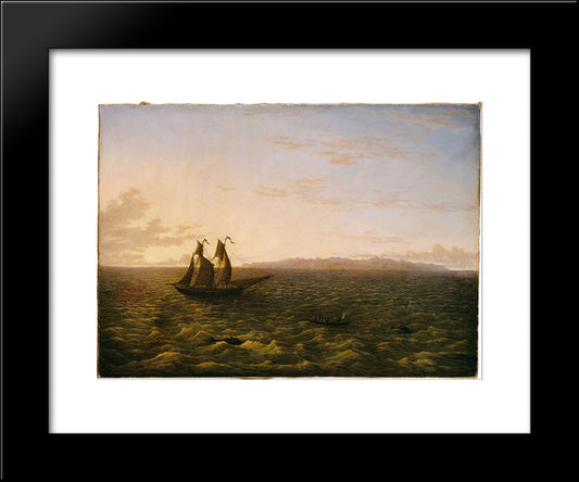 The Island Of Madeira 20x24 Black Modern Wood Framed Art Print Poster by Glover, John