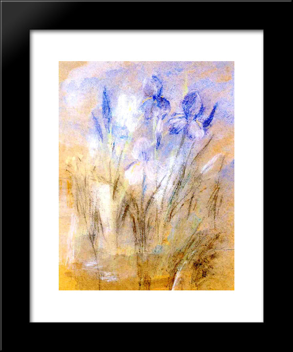 Irises 20x24 Black Modern Wood Framed Art Print Poster by Twachtman, John Henry