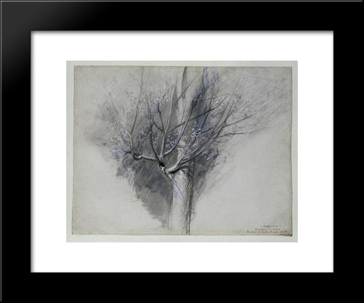 Budding Sycamore 20x24 Black Modern Wood Framed Art Print Poster by Ruskin, John