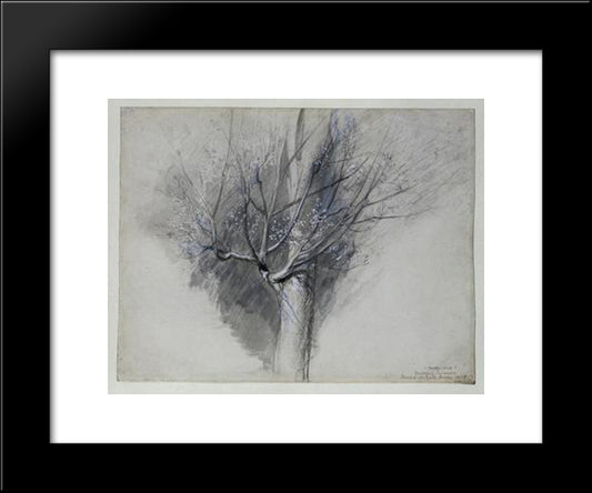 Budding Sycamore 20x24 Black Modern Wood Framed Art Print Poster by Ruskin, John