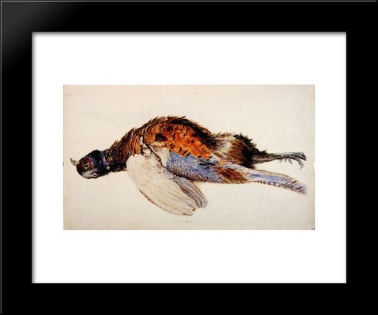 Dead Pheasant 20x24 Black Modern Wood Framed Art Print Poster by Ruskin, John