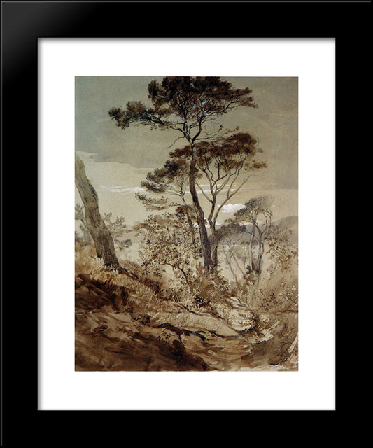 Stone Pines At Sestri 20x24 Black Modern Wood Framed Art Print Poster by Ruskin, John