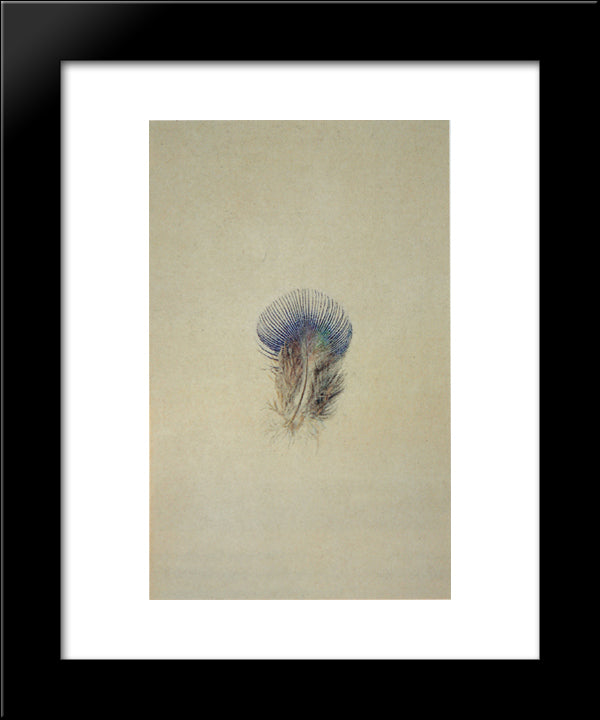Study Of A Peacock'S Breast Feather 20x24 Black Modern Wood Framed Art Print Poster by Ruskin, John