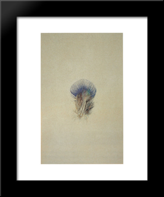Study Of A Peacock'S Breast Feather 20x24 Black Modern Wood Framed Art Print Poster by Ruskin, John