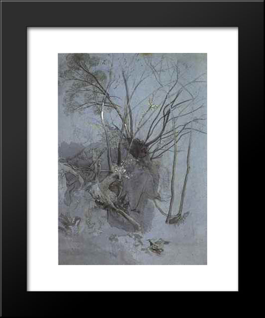 Tree Study 20x24 Black Modern Wood Framed Art Print Poster by Ruskin, John