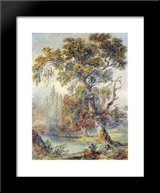Trees And Pond 20x24 Black Modern Wood Framed Art Print Poster by Ruskin, John