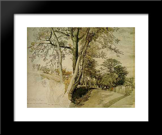 Trees Study 20x24 Black Modern Wood Framed Art Print Poster by Ruskin, John